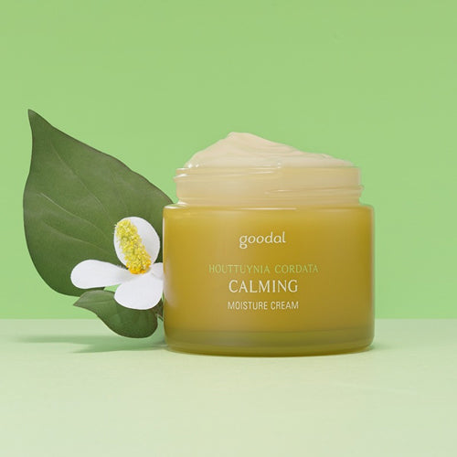 Heartleaf Calming Moisture Cream