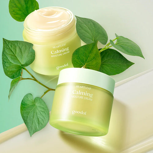 Heartleaf Calming Moisture Cream